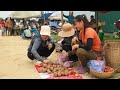 Harvesting sapodilla fruit goes to market sell - Harvest jackfruit go to sell | Phuong Daily Harvest