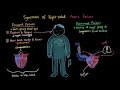 Symptoms of right sided heart failure | Circulatory System and Disease | NCLEX-RN | Khan Academy