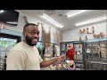 The Largest Parrot Store In The USA | Bringing Home My African Greys from Todd Marcus Birds Exotic