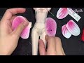 Orchids - Custom doll - Barbie Doll -  Doll Repaint -  Sang Bup Be
