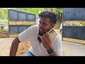 திடீரென வந்து பிள்ளைகளை யாழ்ப்பாணம் கூட்டி சென்ற அக்கா 🤔 காரணம்? | Tamil | SK VLOG
