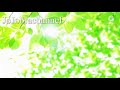 【オリジナル作業用BGM】さっぱりしたリラックス音楽30分耐久