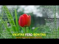 Las Mejores Éxitos Romanticos Inolvidables 🌹 1 Hora De Música Romántica Viejitas Pero Bonitas 80 90s