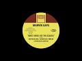 Marvin Gaye Mercy Mercy (Ecology) - DJ Duke Extended Disco Mix rare