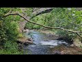 Aber Falls stream near the carpark