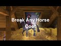 Home Stable Glitches (star stable)