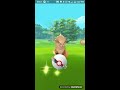 Soloing Fire Fang/Fire Blast Arcanine