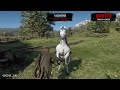 Average Gameplay of Red Dead Redemption 2