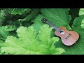 1 Hour of Relaxing Ukulele Fingerstyle Background Music