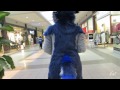 Fursuiting at a mall!