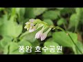 #광주광역시 #풍암지구 #호수공원 #둘래길