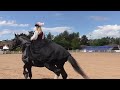 Самые известные породы лошадей. Парад пород. The most famous horse breeds. Parade of breeds.