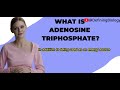 What Is Adenosine Triphosphate (ATP)?