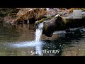 Relaxing Nature Sound | Relieves Stress and Anxiety | Heal your mind | Song Therapy