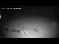 Flying Creature Caught on Security Camera