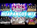 Los Alamenos, La Kumbre Con K, Los Avila, Elegantes, Legitimo, Conjunto Nube - Huapangos Mix 2024