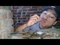 ASMR RICE,FISH,EGGPLANT MUKBANG (NO TALKING) EATING SOUNDS