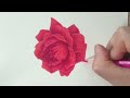 색연필로 들장미 색감내기 / 구독자 요청에 응답하기 / Drawing a wild rose with colored pencils.