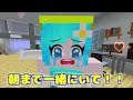 【カワイイ女の子を狙うあやしい影...】マイクラ/侵入者の犯人探し(#ぴこみんず)スパイ警察探偵が謎解きミステリーに挑戦🔎