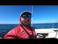 Epic Day Blue Fin Tuna Chasing in Ensenada, Mexico  ** Watch in 4K**