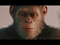 ➤do we feel safe {planet of the apes}