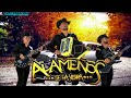 Los Alameños De La Sierra Mega Mix 2024 Lo Más Chingon ~ Pura Excelencia Bailable de Los Alameños 🤠💃