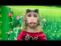 Funny : Monkey Abu va de compras y obtiene susper descuentos y fantásticos regalos