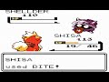 Pokémon Red Expert - Vs, ✮SHIGERU✮ (1st Battle)