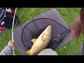 Carp fishing in northeast Ohio