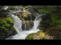 Nature Sounds, Stress Relief, Ocean Waves, Meditation, White Noise, Water Sounds, Relax