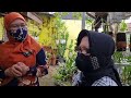 Orchid GardenTour (17) : Teras Rumah Asri Serasa di Taman Anggrek
