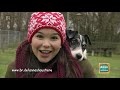 Hund | Information für Kinder | Anna und die Haustiere