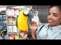 മനസ്സിന് സന്തോഷം കിട്ടുന്ന  വർണ്ണ കാഴ്ചകൾ 🥰#pets#pet#petlover#latest#trending #shortsvideo#status 🥰