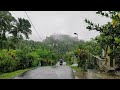 Heavy Rain and Storm Wind | Walk in Village Life Above the Beautiful Mountains | Rain Sounds