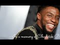 No women no cry - in memory of chadwick boseman | Black Panther wakanda forever