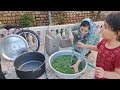 Iranian nomadic family: picking fresh garlic from the garden for delicious local food