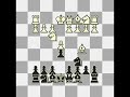Chess lore