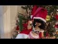 Christmas underwear set | Frappzilla Lyra Ball Jointed doll