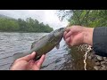 LEHIGH RIVER FISHING / Bass 💪🏼 Trout 💪🏼 and Fall Fish