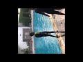 WWE Moves in the Pool and Flips in the Pool (Triple HHH/Sweet Chin Music D-Generation X)