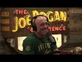 Joe Rogan Experience #1924 - Andrew Santino