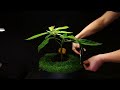 Growing an Avocado BONSAI from Seed Timelapse! (275 Days)
