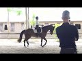 Dressage mechanics with Leif Aho. Basic biomechanics with a PSG Young Rider