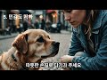 강아지는 죽기 전에 이런 신호를 보냅니다 | 이별의 신호 7가지