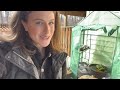 How To Start Seeds In An Unheated Greenhouse | What To Grow In A Mini Greenhouse