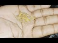 ഈച്ച നാടും വീടും വിട്ടോടും | 3 Amazing Tips | How to get rid of House Flies naturally