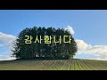 그 날 (김연숙 노래) - 취미색소폰 신건석