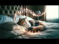 Relax Your Cat - 2 HOURS of Soothing Music for Cats | Cat Purring Sounds
