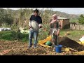 زراعة البطاطس في المنزل و سر نجاحها مع علي و حنان