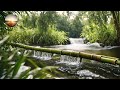 Relaxing Music , Stress Relief Music, Meditation, Spa, Sleep,  Calming Music,  Yoga, 3/24 #relaxing